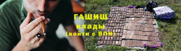 индика Тихвин
