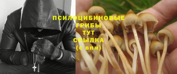 герыч Тавда