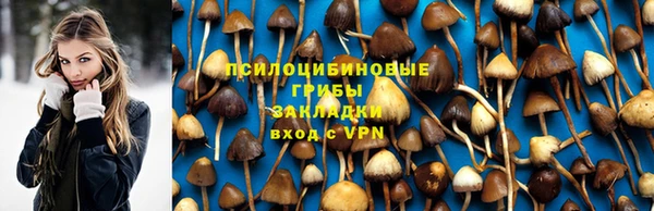 герыч Тавда