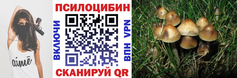 Псилоцибиновые грибы Psilocybe  цена   нарко площадка официальный сайт  Ува 